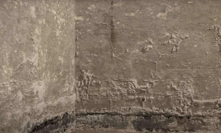 Zasolona i wilgotna ściana w piwnicy